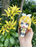 files/x_meho846779_b.jpg