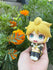 files/x_meho846786_h.jpg
