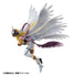 files/x_meho848575_g.jpg