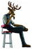 files/x_meho851094_a.jpg