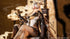 files/x_mhy53602_b.jpg