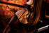 files/x_mim15017_a.jpg