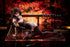 files/x_mim15017_d.jpg