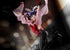 files/x_mim15030_c.jpg