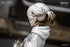 files/x_mth91187_l.jpg