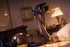 files/x_necr08014_r.jpg