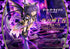 files/x_p1spwdal-05_a.jpg