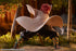 files/x_phat96968_i.jpg