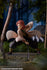 files/x_phat96968_j.jpg