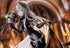 files/x_phat96984_j.jpg
