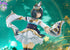 files/x_plum38773_e.jpg