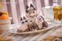 files/x_rbs19135_d.jpg