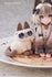 files/x_rbs19135_i.jpg