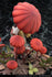 files/x_rvs52034_g.jpg