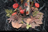 files/x_rvs52034_i.jpg