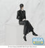 files/x_sega3995_b.jpg