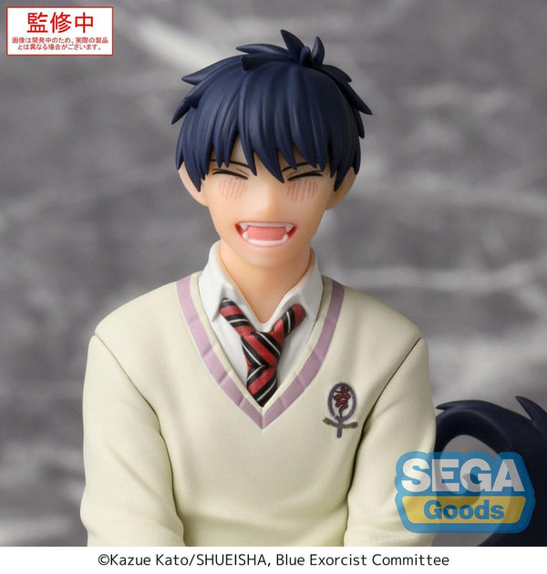 Blue Exorcist - Rin Okumura - PM Perching PVC Statue (14 cm)