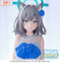 files/x_sega45893_f.jpg