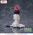 files/x_sega46373_e.jpg