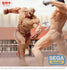 files/x_sega56949_e.jpg