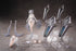 files/x_sns51560_h.jpg
