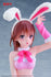 files/x_tapr452135700_b.jpg