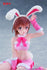 files/x_tapr452135700_d.jpg