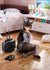 files/x_wave71164_g.jpg