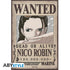 products/one-piece-portfolio-9-posters-wanted-luffy-s-crew-21x297-x5_02b3baa1-156a-418d-be94-b7521b14d6fe.jpg